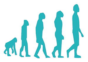 人の進化図