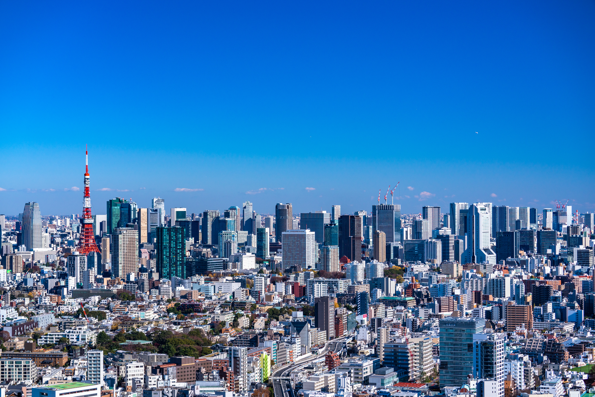 日本のバイオテックベンチャーがゼロから開発